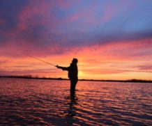 Госдумой РФ утвержден новый закон о любительской рыбалке.