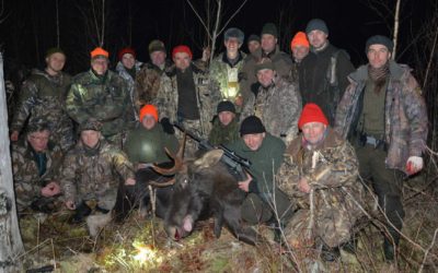 Охота на лося в Тверской области.