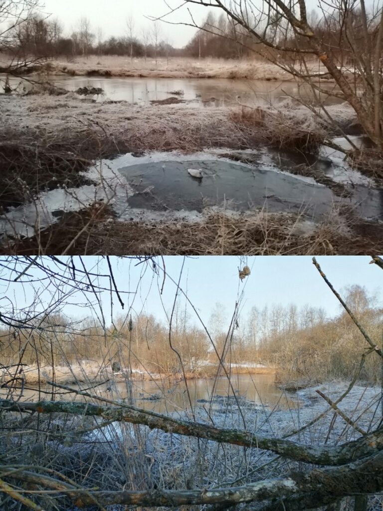 Моя первая весна, снова на охоту...